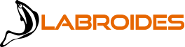 LABROIDE